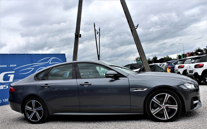 Jaguar XF cena 117800 przebieg: 22000, rok produkcji 2018 z Nowy Targ małe 529